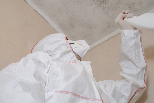 Trusted Fulshear, TX Mold Remediation Experts
